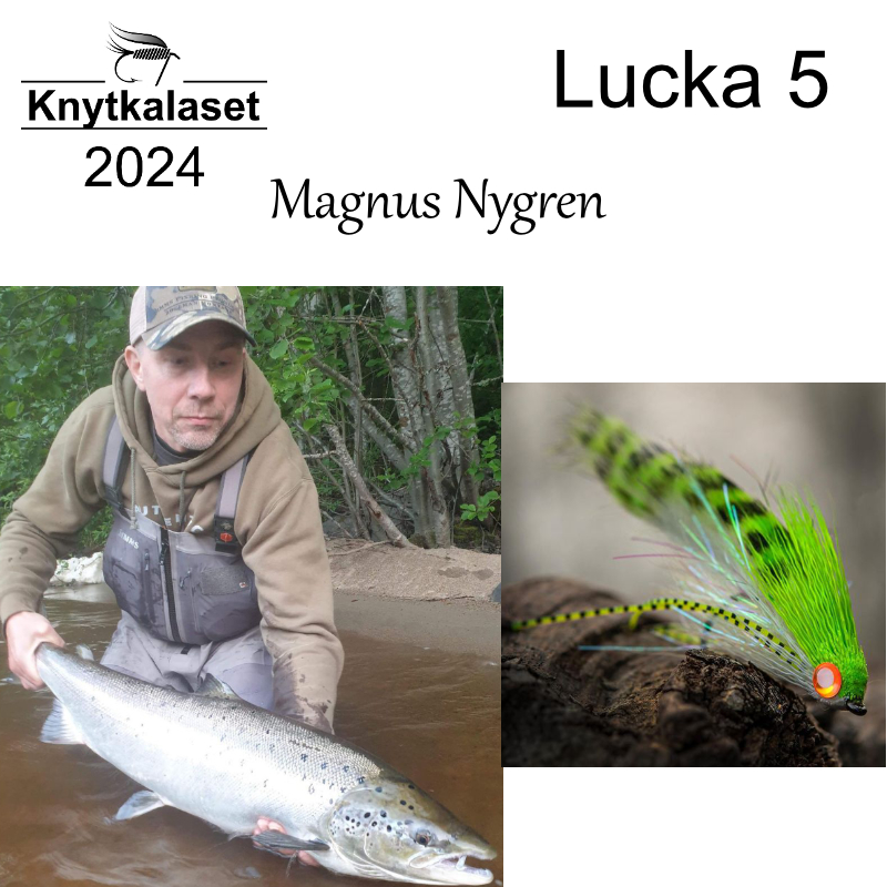 Magnus Nygren kommer till Knytkalaset och binder sina fångstgivande storöringflugor